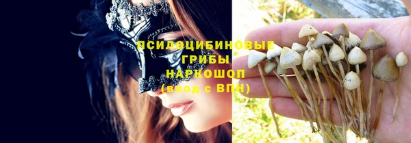 эйфоретик Алексеевка
