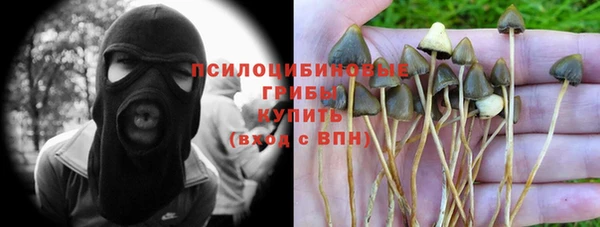 винт Алексин