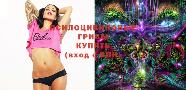винт Алексин