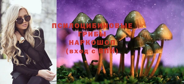 эйфоретик Алексеевка